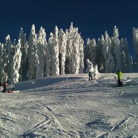 كيتز ريسيدينز توب 6 كابرون