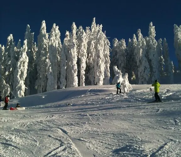 Kitz Residenz 6 Kaprun